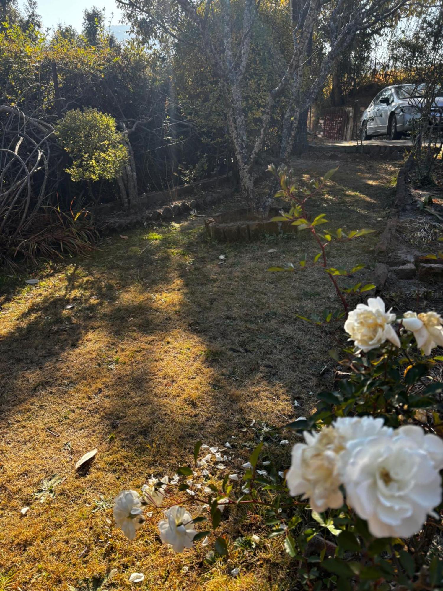 1111 Private - Thhpsociety - - Jacuzzi , Apple Orchard , Private Garden Holiday home Mukteshwar