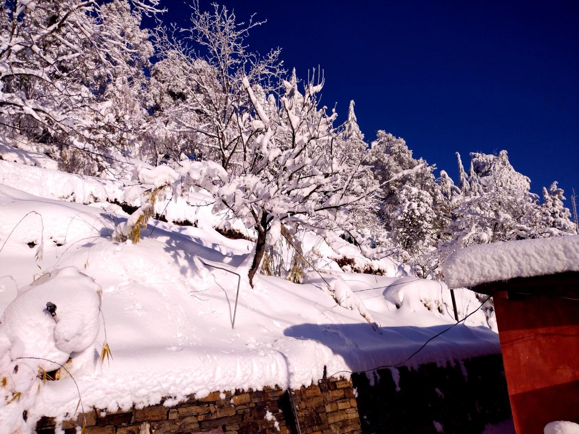 Way Wood Wind Lodge Mukteshwar