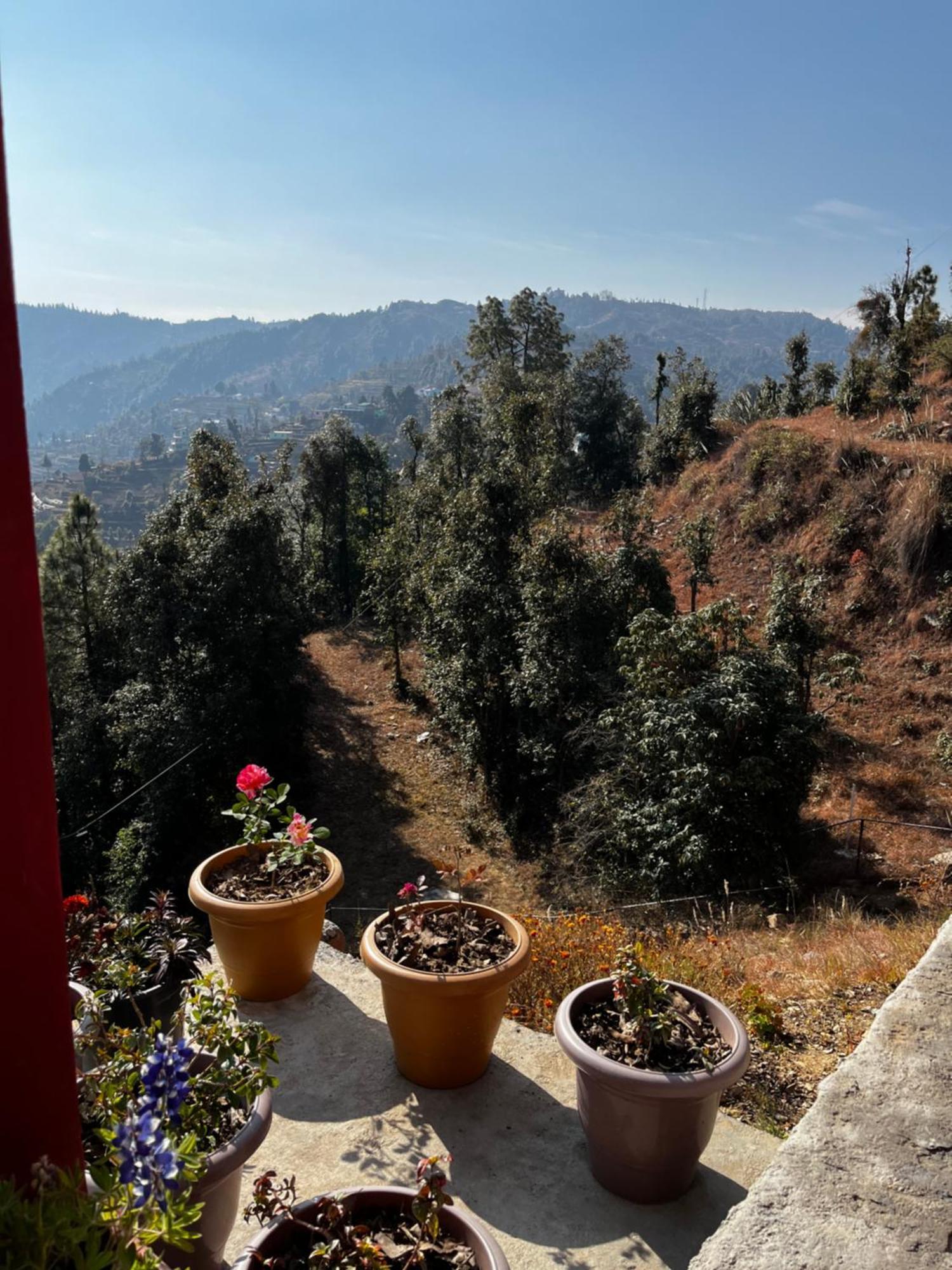 Ecoescape Mukteshwar