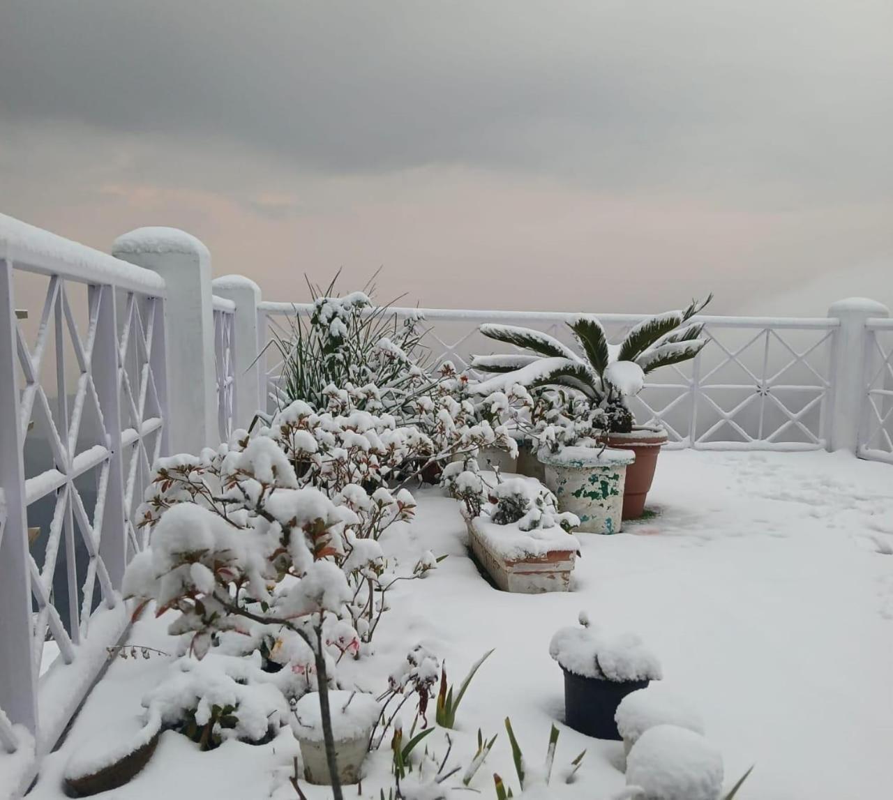 Qcent Club Resort