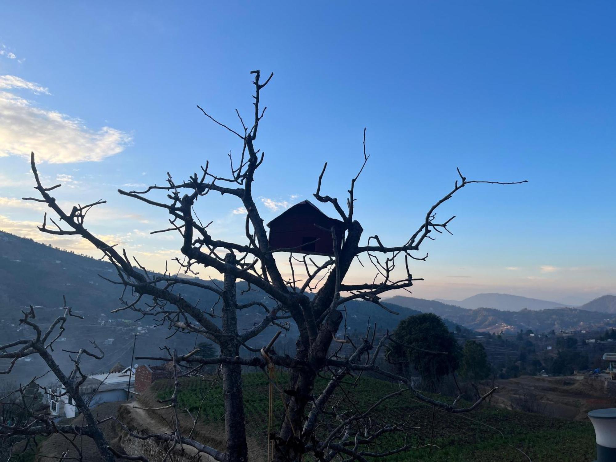 Saanidhya Homestay