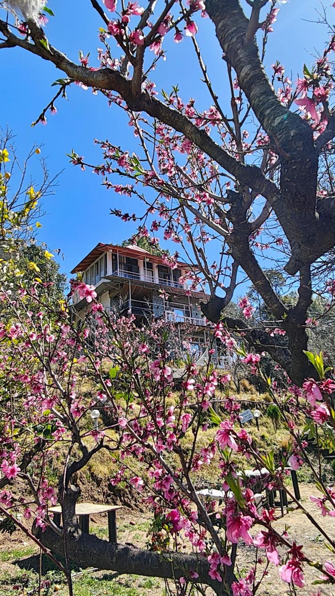 Resort Neelkanth Retreat *