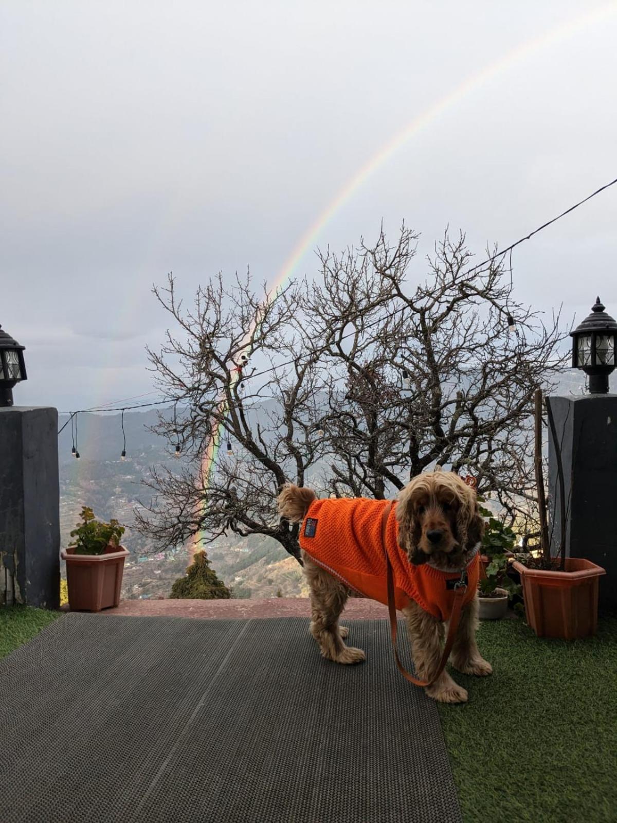 The Fox Retreat Mukteshwar