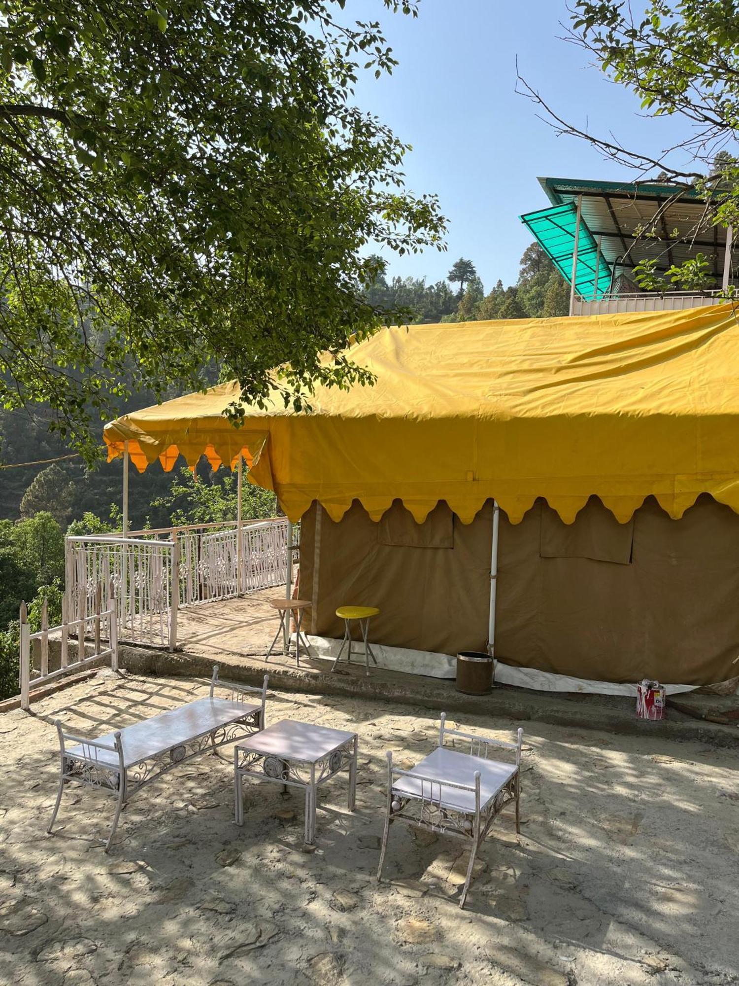 The Rare One's - & Cafe Homestay