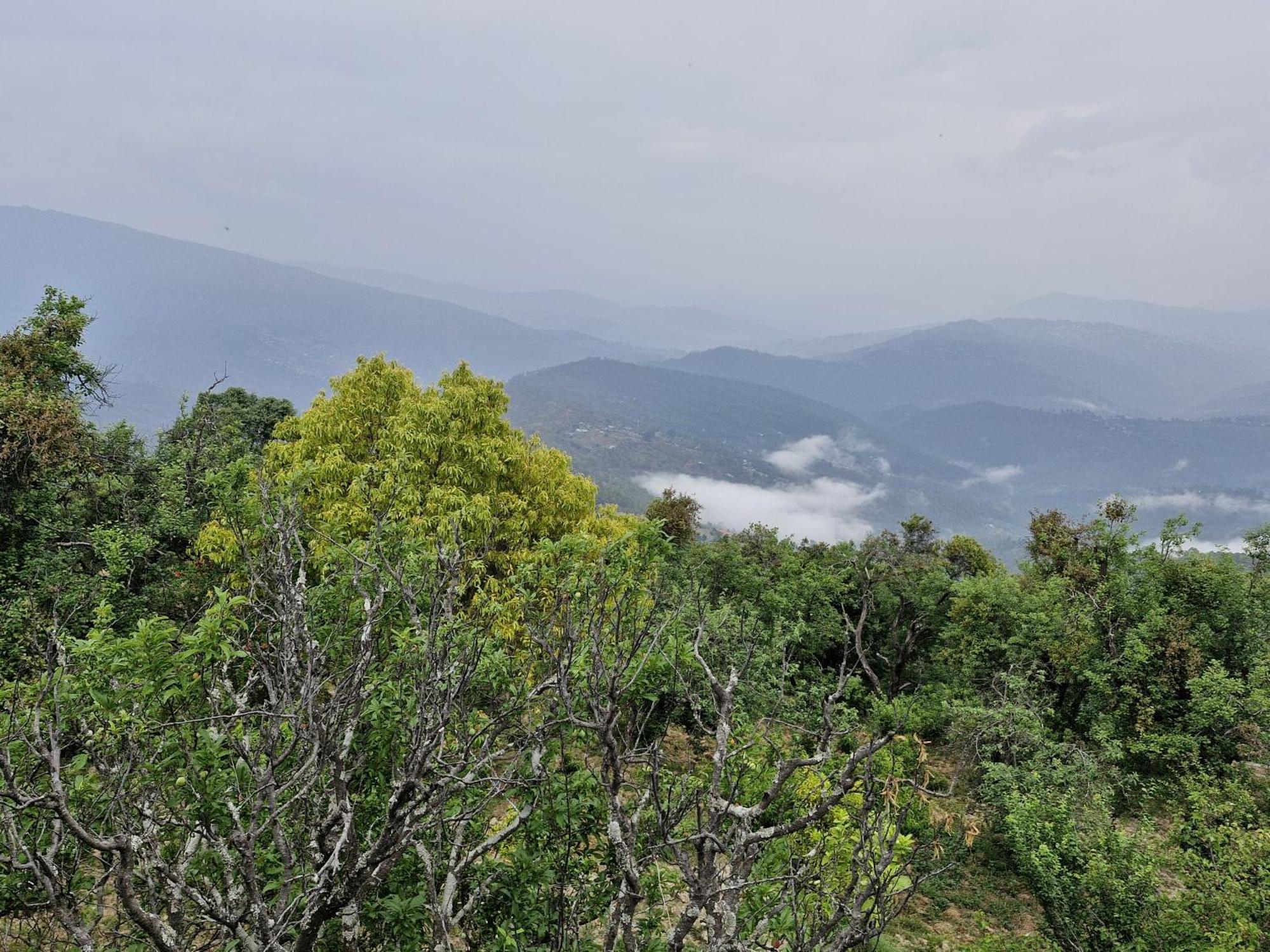 Hotel Snowberry Mukteshwar