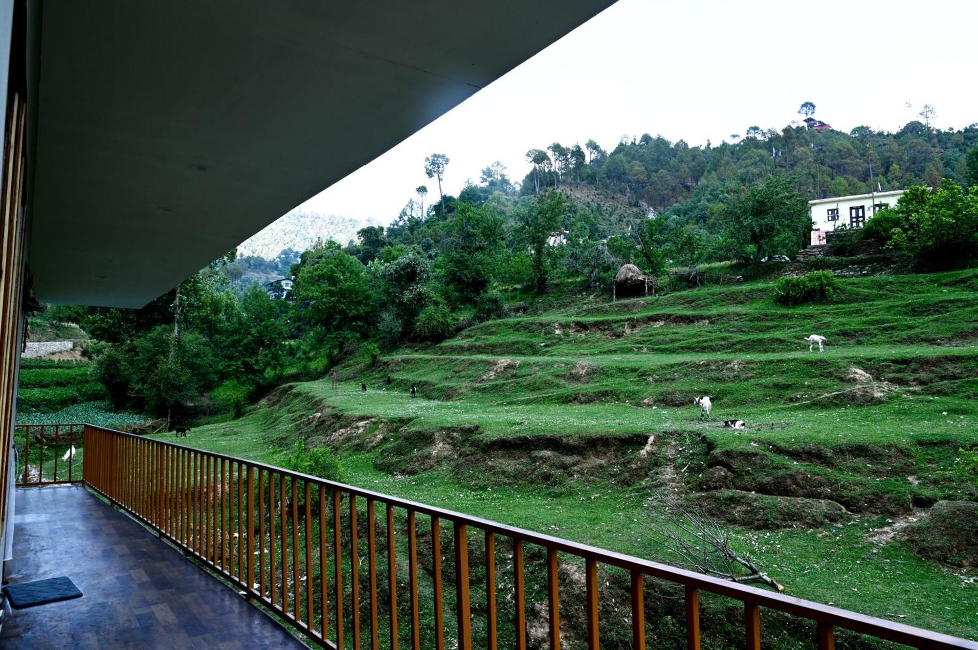 Hotel The Rare Ones, Bhalugaad And Game Zone