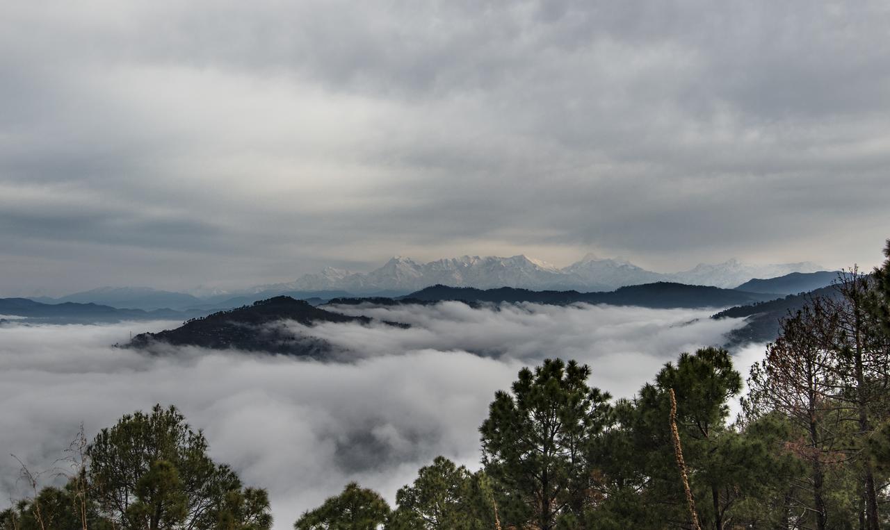 The Orchard At Peora Estates 5* Mukteshwar