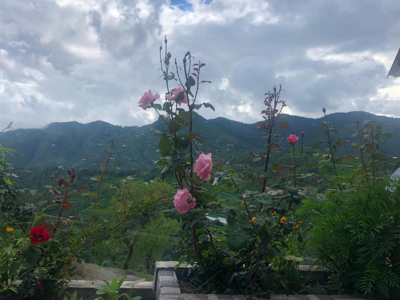 Nakshatra Cottages Mukteshwar
