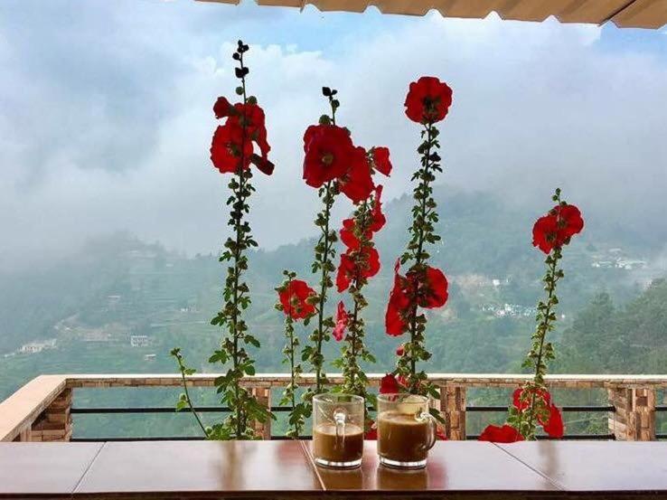 Nakshatra Cottages Resort *