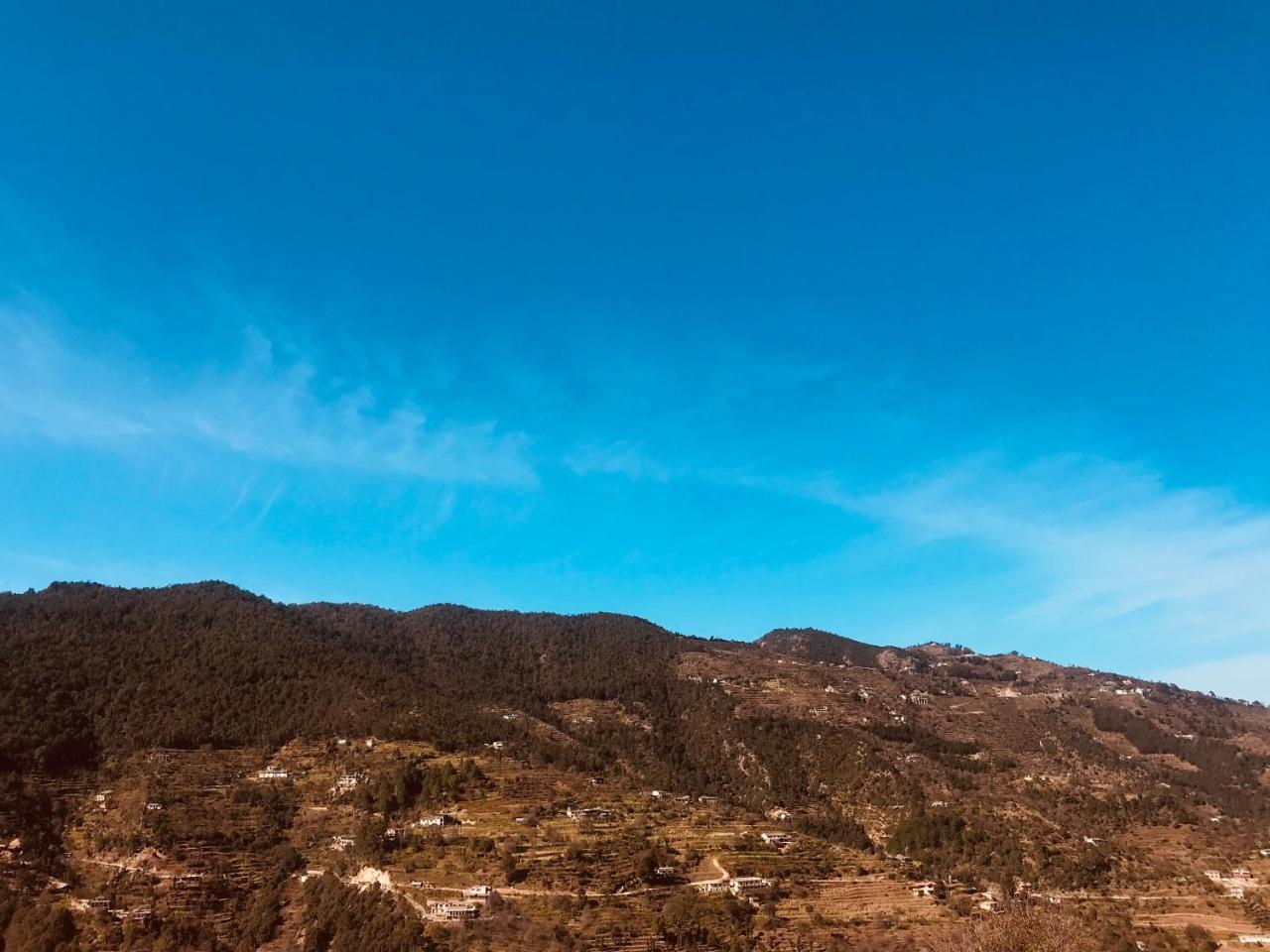 Enchanted Hills