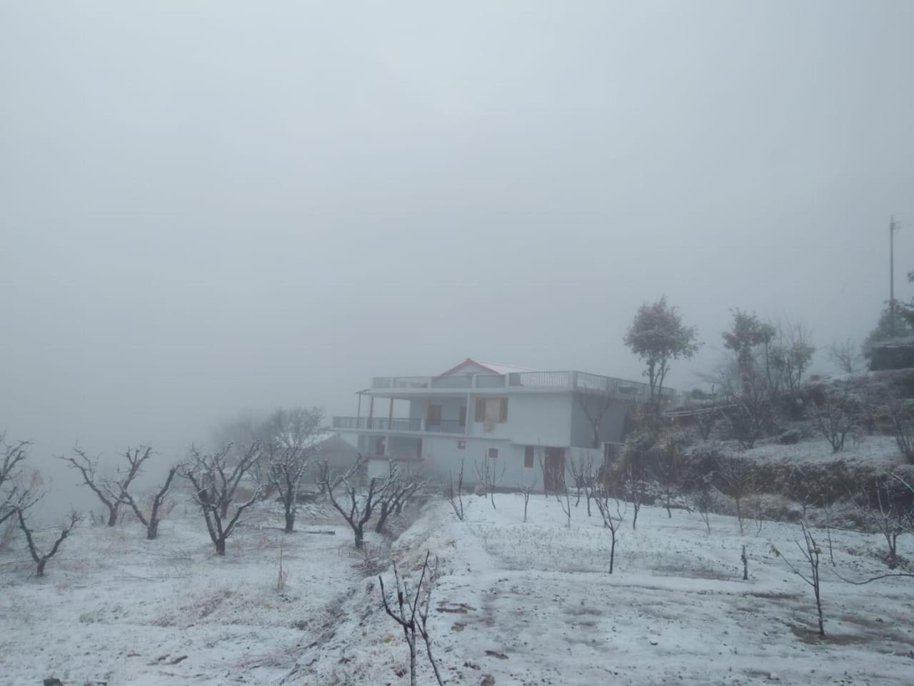 Enchanted Hills Mukteshwar