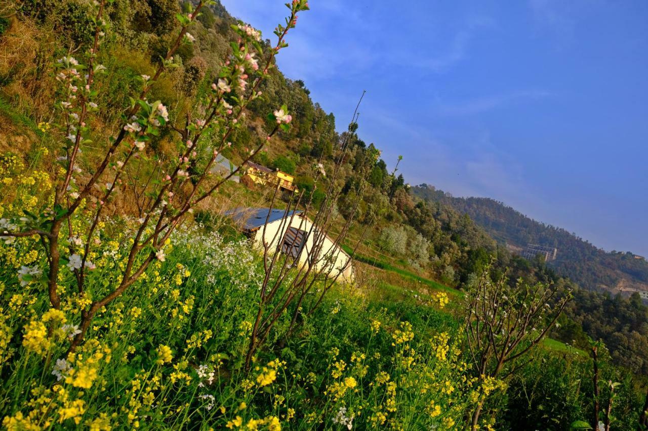 Enchanted Hills 3* Mukteshwar