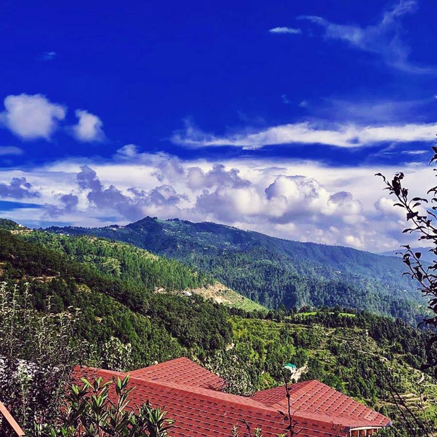 Treehouse Mukteshwar