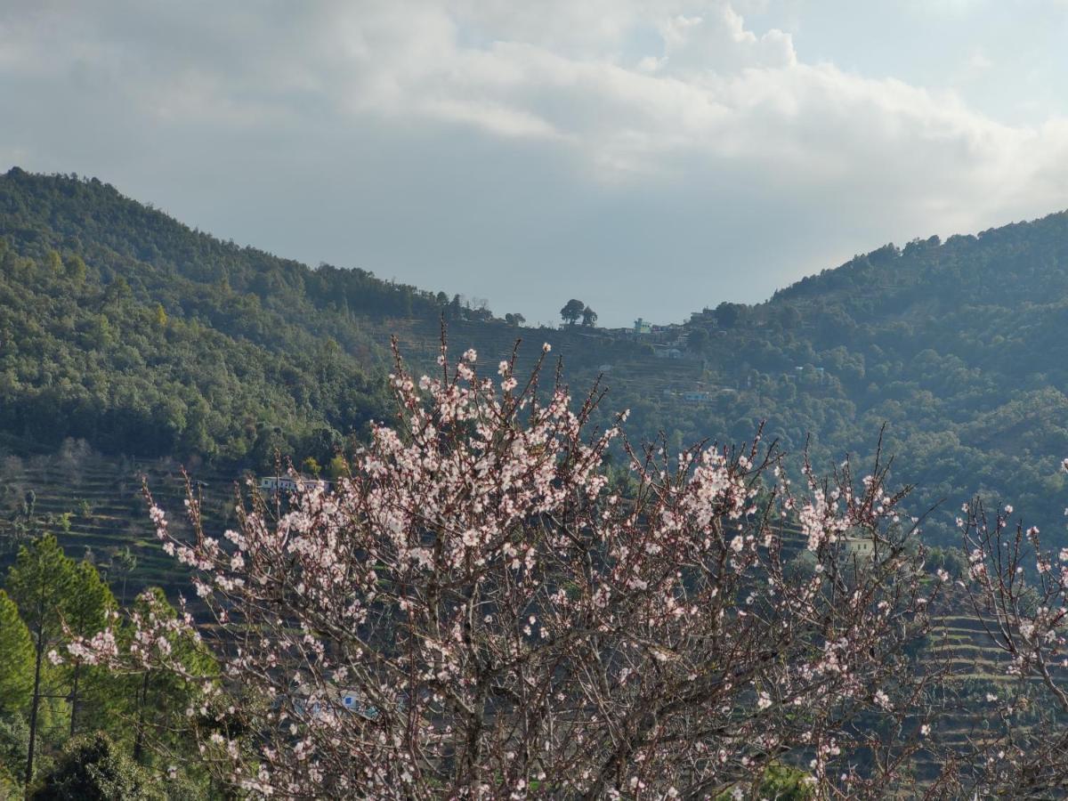 Bed & Breakfast Enchanted Hills Mukteshwar
